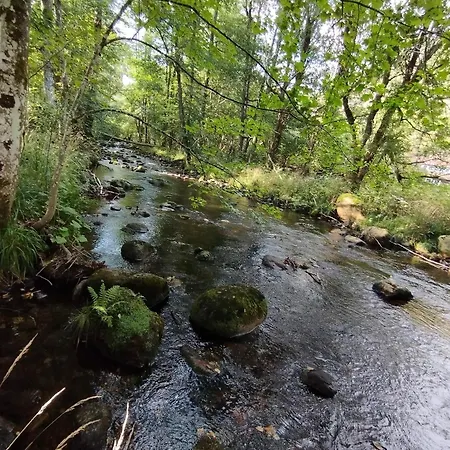 B&B Unik Brunnen Blick Mit Offenem Dachstuhl